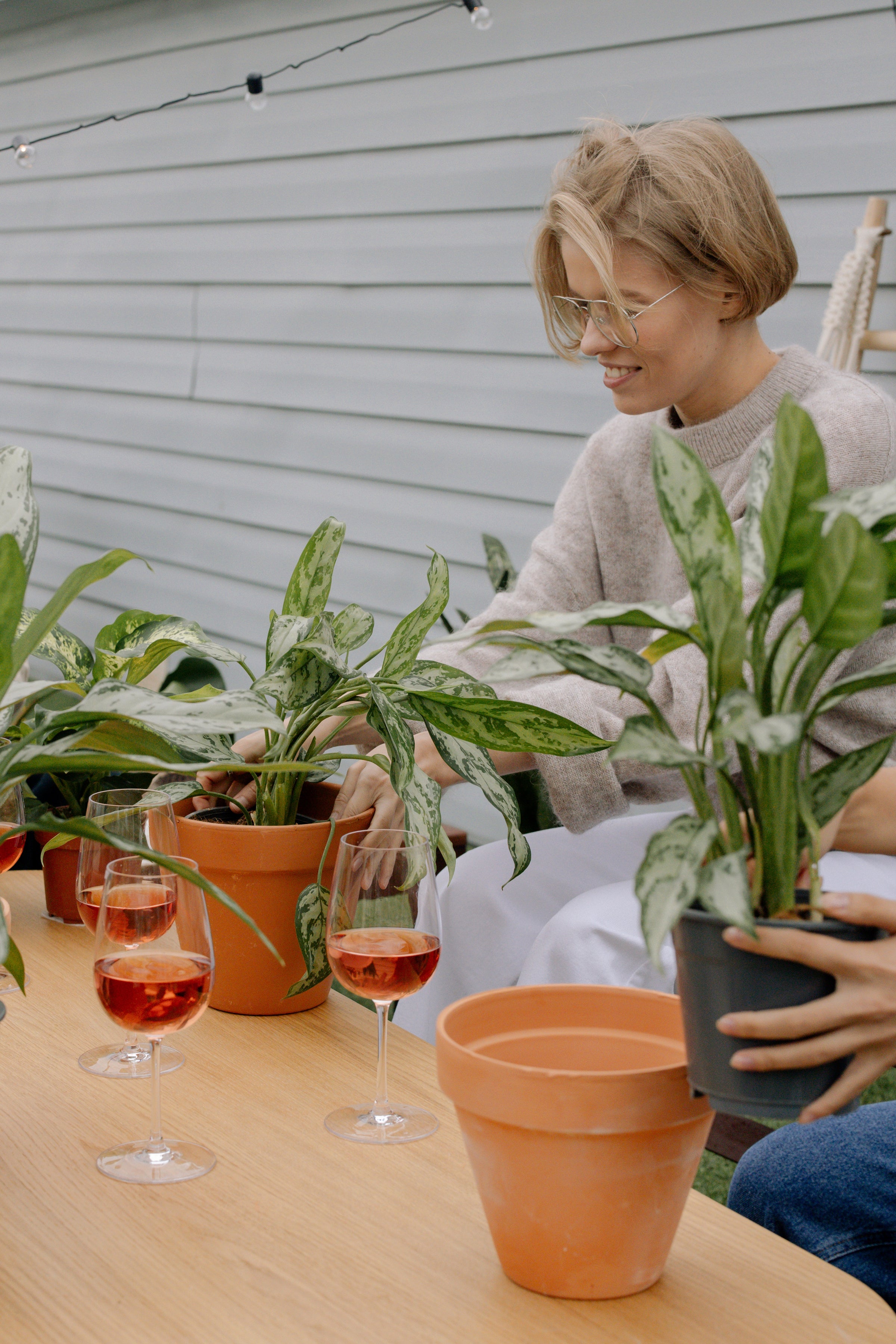 Plants + Planters