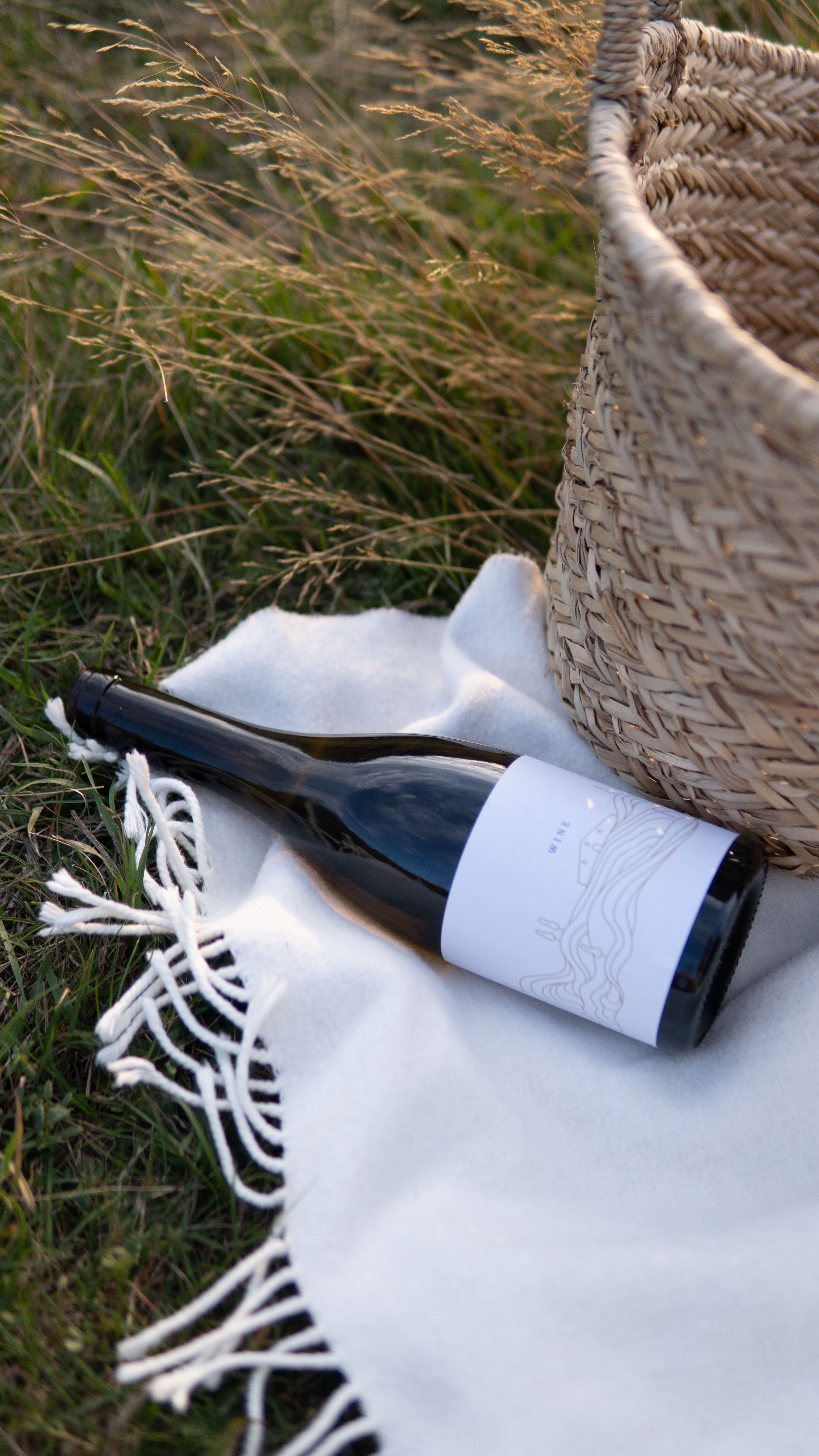 Wine + Decor Collection