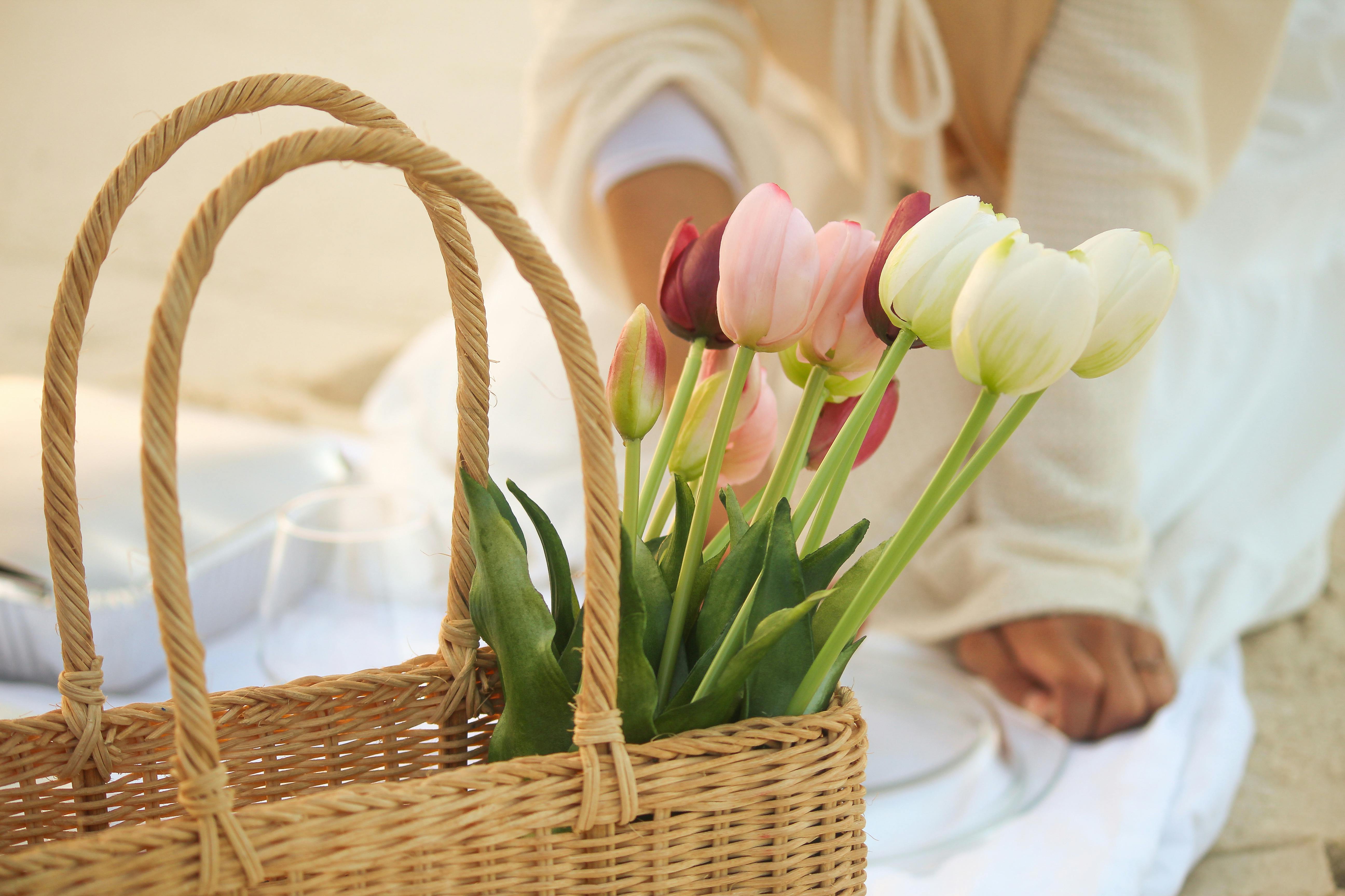 Spring Closeouts!